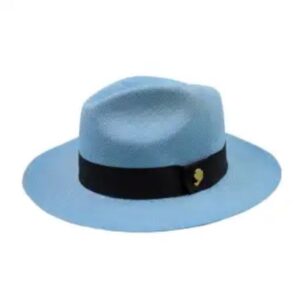 blue fedora hat